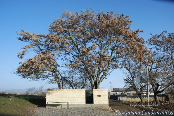 getImage (1).jpg
